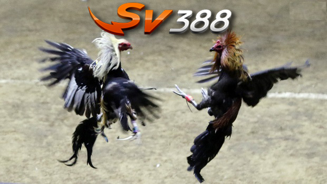 Nhà cái còn cung cấp đa dạng đầy đủ những loại kèo Nhà cái còn cung cấp đa dạng đầy đủ những loại kèo