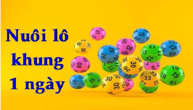 Lô khung 1 ngày là gì? Lô khung 1 ngày là gì?