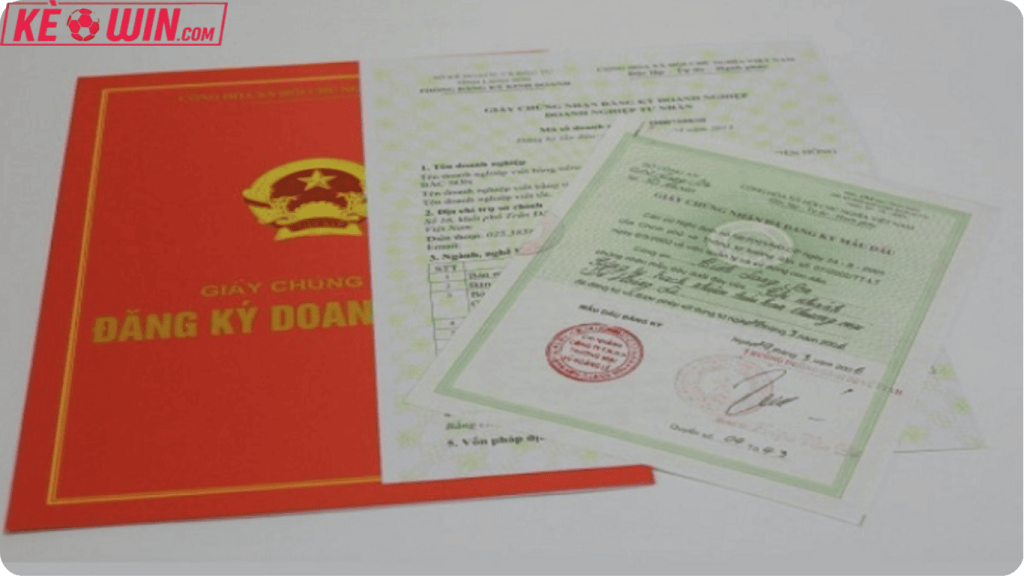  được cấp giấy phép hoạt động hợp pháp